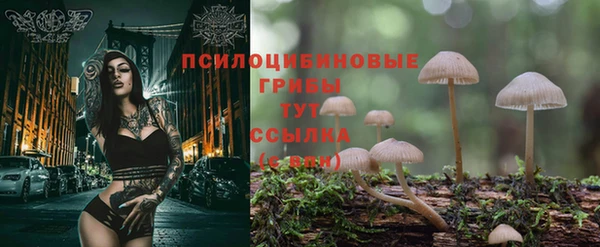 индика Абдулино