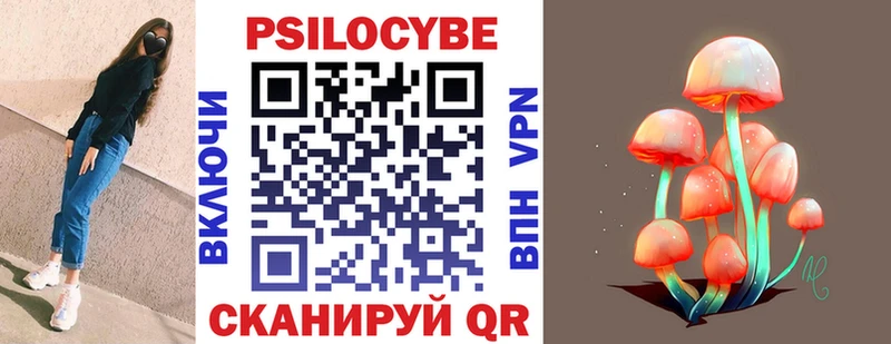 закладки  ОМГ ОМГ как войти  Псилоцибиновые грибы Magic Shrooms  Сафоново 