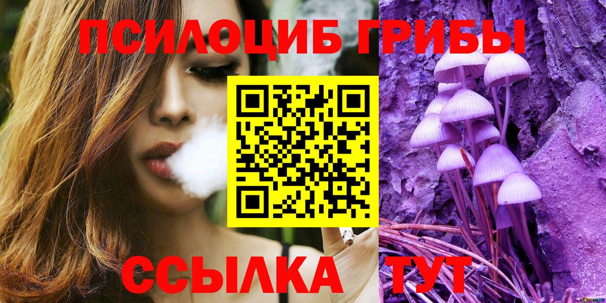 Сафоново  Псилоцибиновые грибы Psilocybine cubensis  Галлюциногенные грибы мицелий  Вход с VPN 