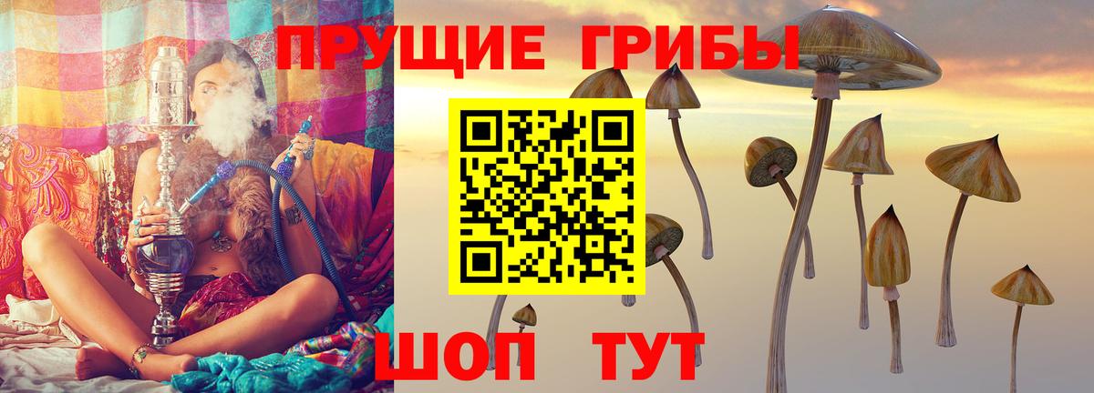 Галлюциногенные грибы Magic Shrooms Сафоново